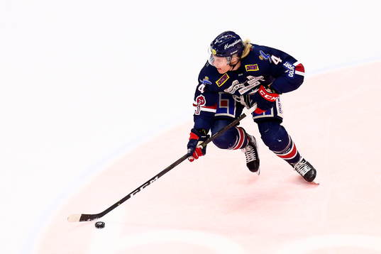 Bläddra bland fler bilder av Ishockey, SHL, Linköping - Leksand