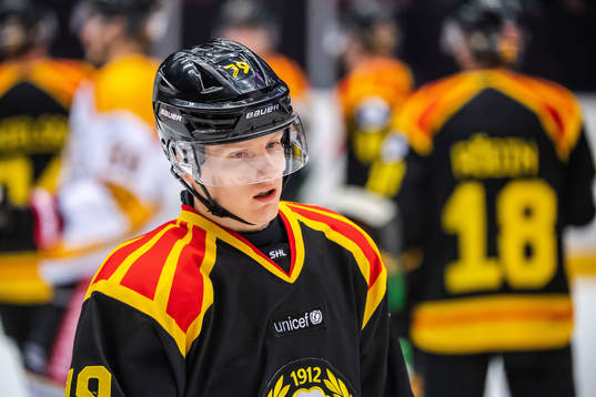 Brynäs Daniel Mannberg deppar