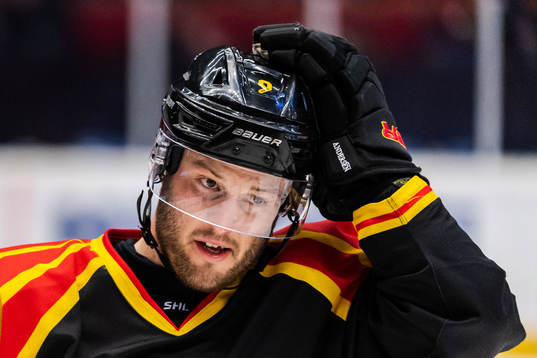 Brynäs Niclas Andersén