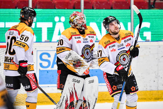 Luleås målvakt David Rautio deppar