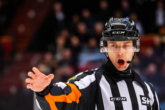 Domare Mikael Andersson
