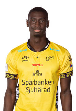 Elfsborgs Marokhy Ndione