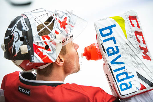 Malmö Redhawks målvakt Lars Volden