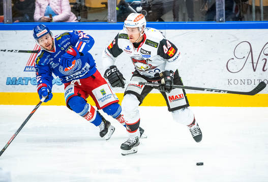 Bläddra bland fler bilder av Ishockey, SHL, Oskarshamn - Malmö