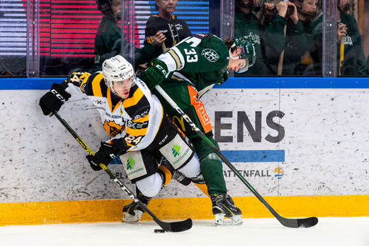Skellefteås Andreas Wingerli och Färjestads Albert