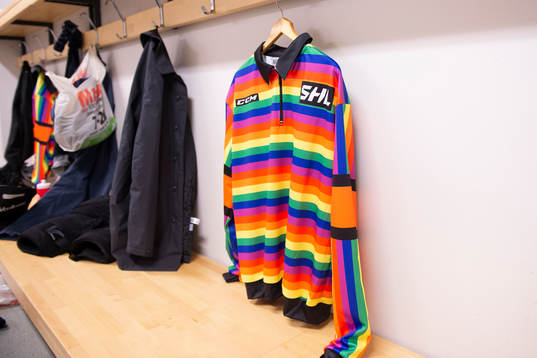 Domarens pride-troja