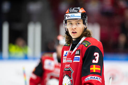 Malmö Redhawks Malte Setkov