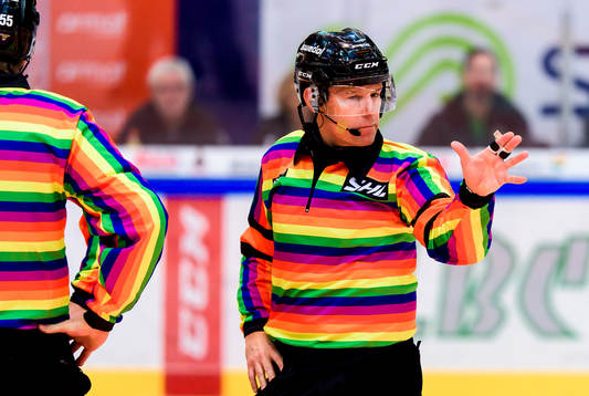 Domare Wolmer Edqvist