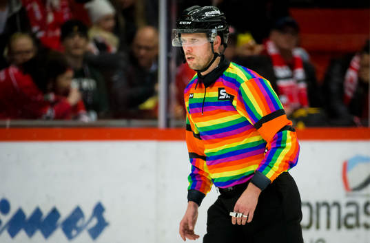 Domare Johan Magnusson