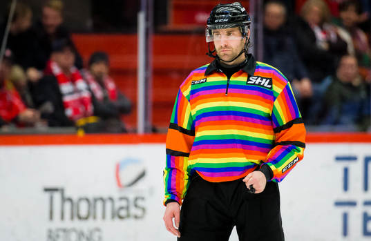 Domare Mikael Sjöqvist