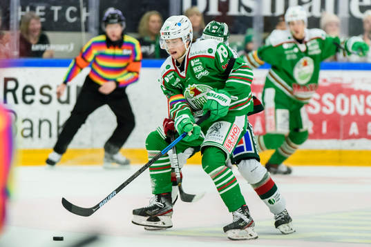 Rögles Dominik Bokk