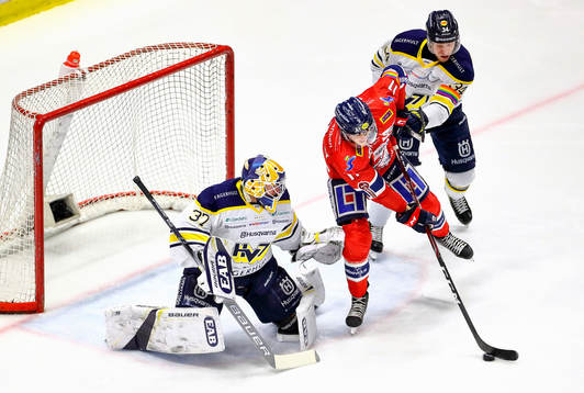 s målvakt Jonas Gunnarsson, Linköpings Henrik Törnqvist