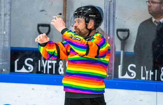 Domare Patrik Sjöberg