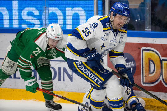 Leksands Jonas Ahnelöv