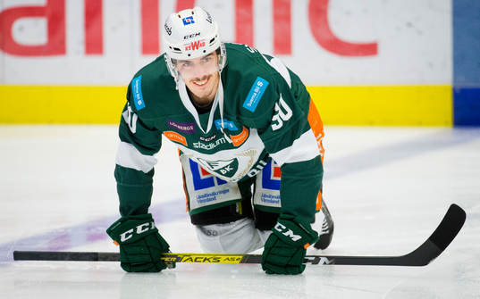 Färjestads Sebastian Erixon