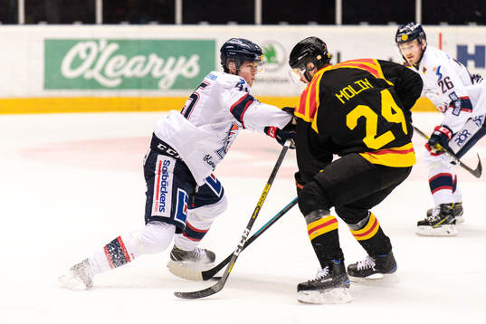 Linköpings Simon Lundmark och Brynäs Emil Molin