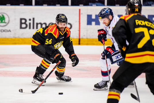 Brynäs Jonathan Sigalet