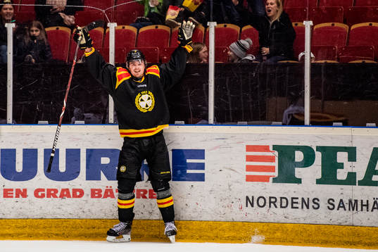 Brynäs Marcus Björk jublar