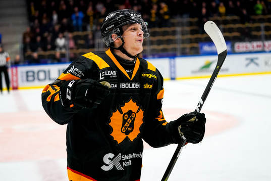 Bläddra bland fler bilder av Ishockey, SHL, Skellefteå - Djurgården