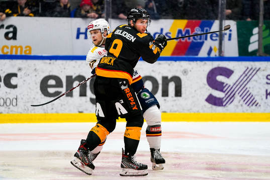 Skellefteås Darren Nowick