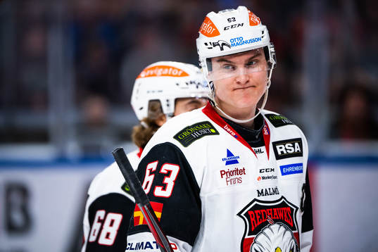 Malmö Redhawks Fredrik Händemark deppar