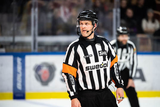 Domare Mikael Nord
