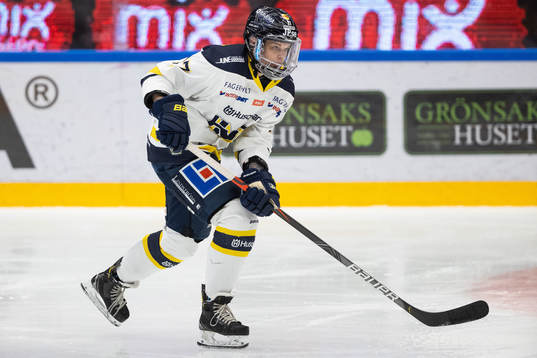 HV71s Danielle Stone