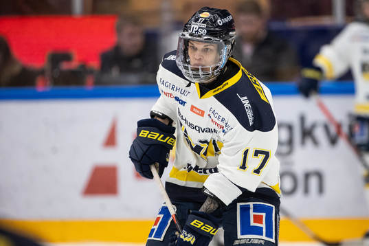HV71s Danielle Stone