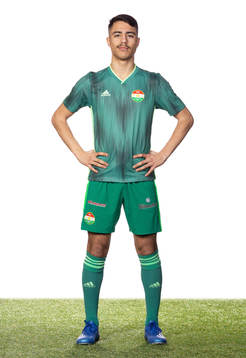 Dalkurds Arash Motaraghebjafarpour