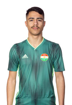 Dalkurds Arash Motaraghebjafarpour