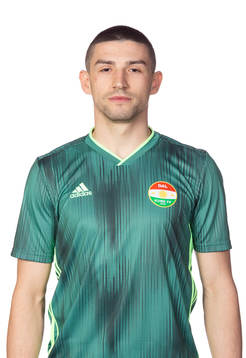 Dalkurds Irfan Jasarevic