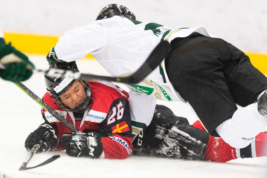 Malmö Redhawks  Annie Svärd