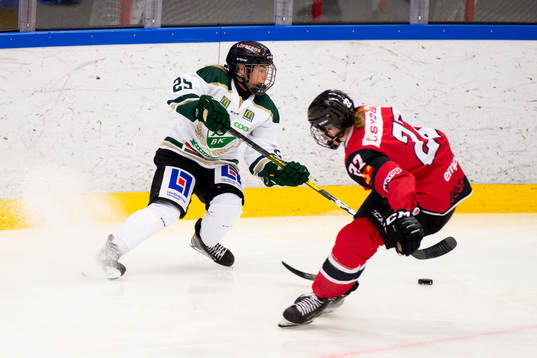Färjestads Linn Fernström
