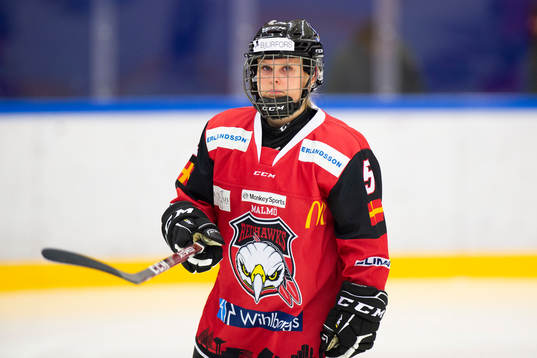 Malmö Redhawks Lovisa Mann