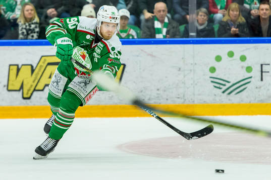 Rögles Ted Brithén