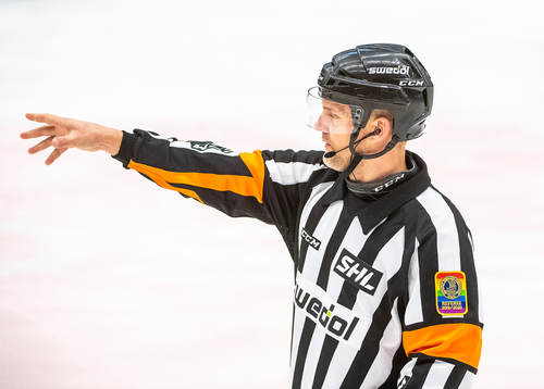Domare Mikael Nord