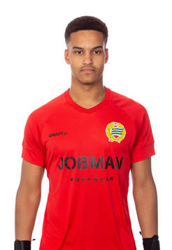 Hammarbys målvakt Oliver Dovin