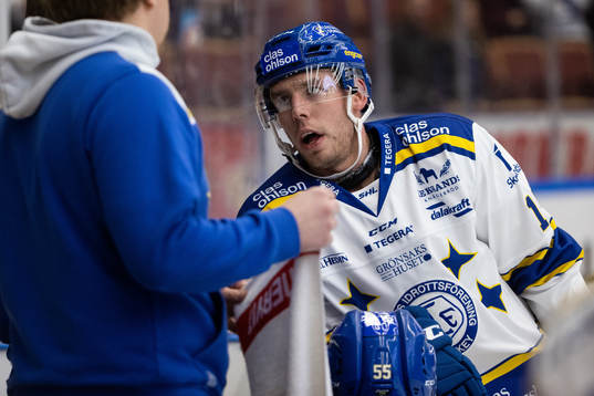 Leksands Matt Carey