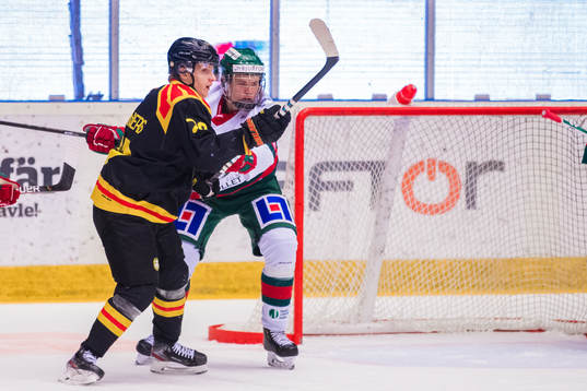 Brynäs Daniel Mannberg och Frölundas Axel Kumlin