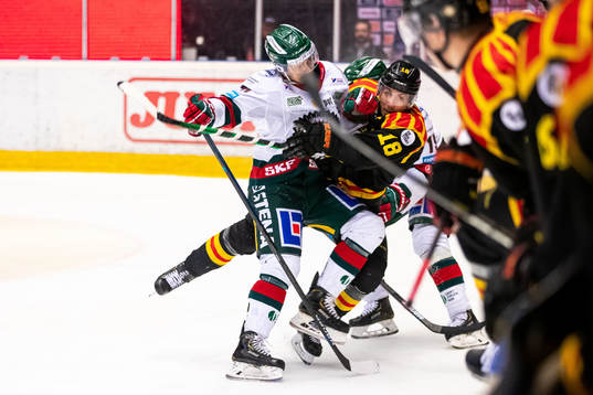 Brynäs Anton Rödin