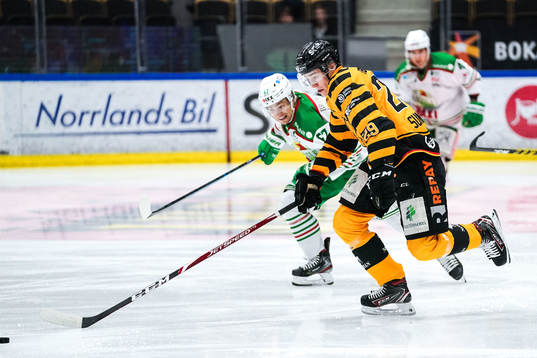 Rögles Leon Bristedt och Skellefteås Albin Sundsvik