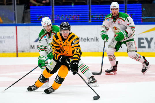 Skellefteås Rickard Hugg