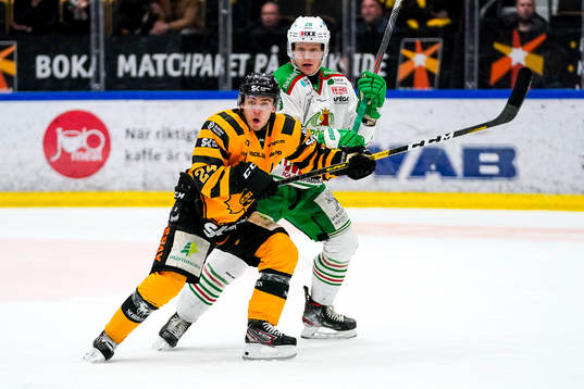 Skellefteås Andreas Wingerli