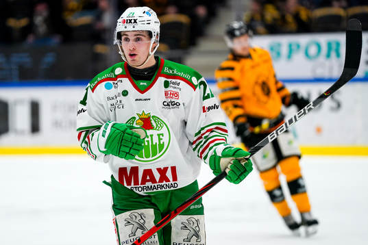 Rögles Nils Höglander