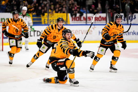 Bläddra bland fler bilder av Ishockey, SHL, Skellefteå - Rögle