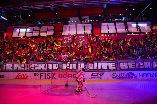 Luleås supportrar med tifo
