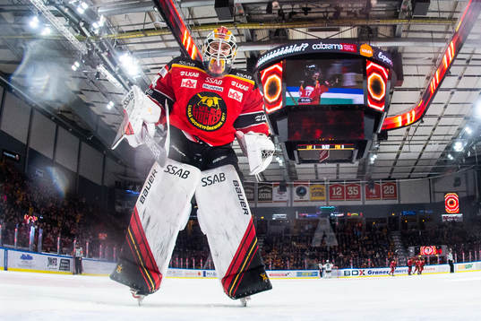Luleås målvakt Joel Lassinantti jublar