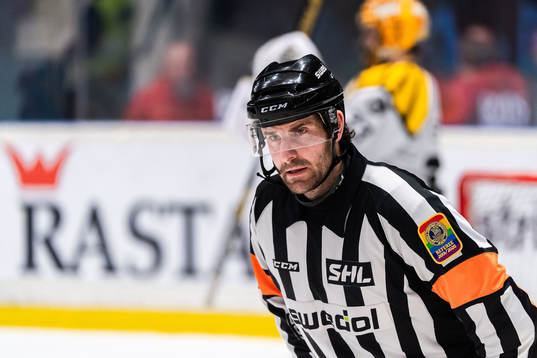 Domare Mikael Sjöqvist