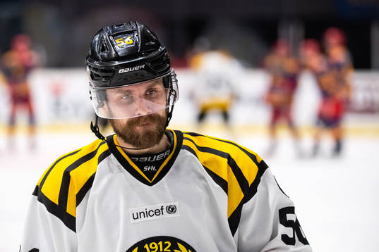Brynäs Jonathan Sigalet