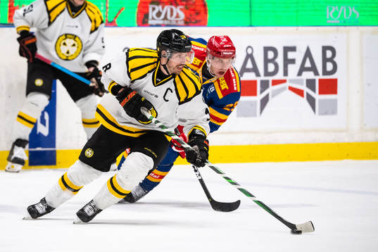 Brynäs Anton Rödin och Djurgårdens Sebastian Strandberg